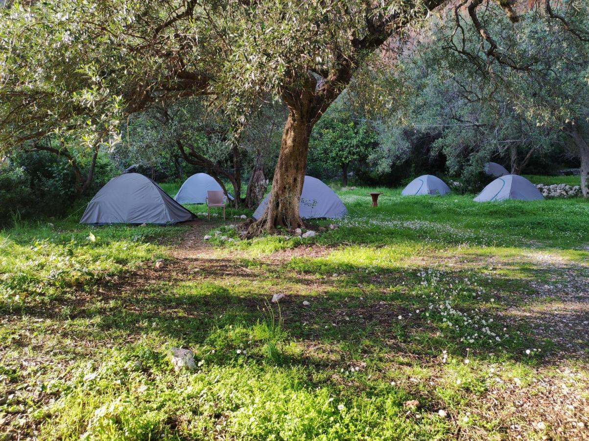 Gjipe Eco Campground Vuno Exterior photo